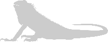 Sprachkurse, Sprachschulen in Ecuador